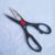 Kitchen scissors