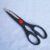 Kitchen scissors