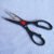 Kitchen scissors