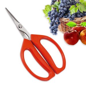 Micro tip fruit picking scissors