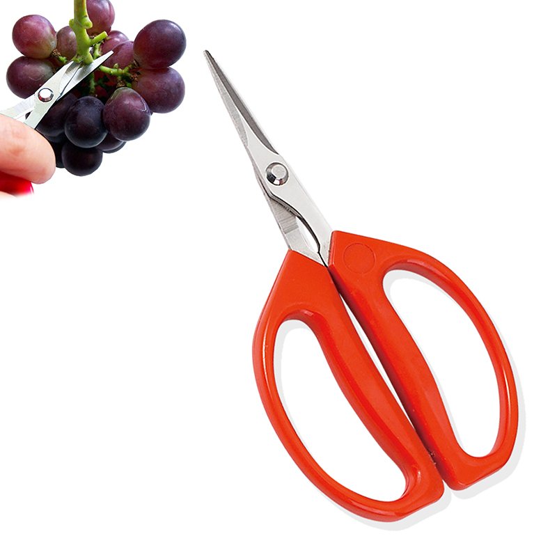 Fruit picking scissors