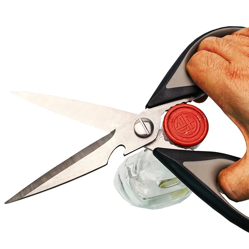Stainless Steel Kitchen Scissors