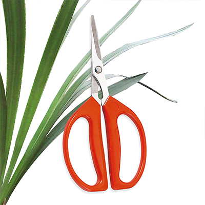 plant-trimming-scissors