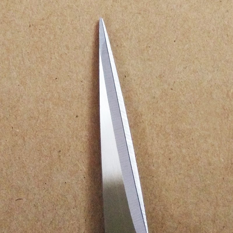 Micro Precision Tip Scissors-C2005550T