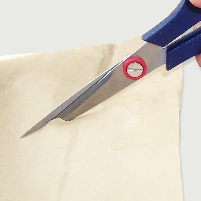 Micro Precision Tip Scissors-C2005550T