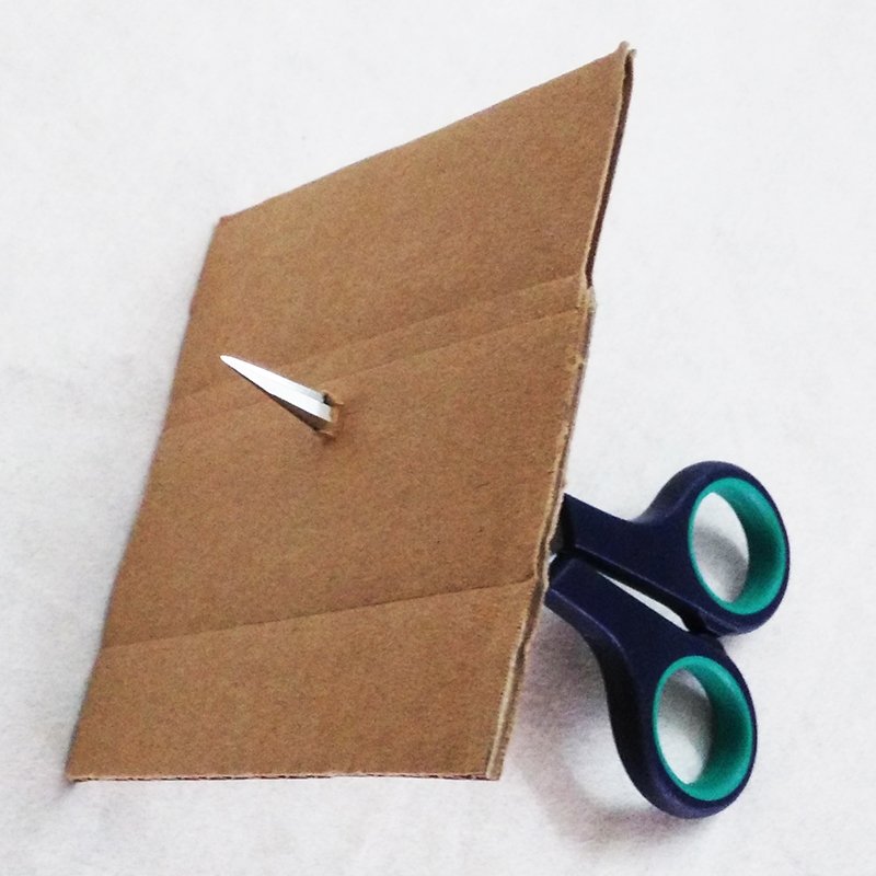 Micro Precision Tip Scissors-C2005550T