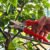 Garden pruning shears-G906725 - Image 8