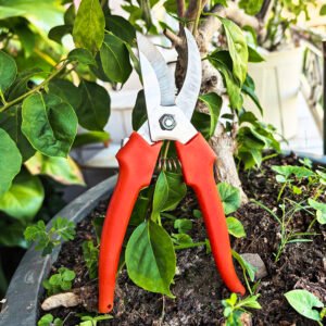 Stainless steel pruning shears