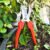 Stainless steel pruning shears