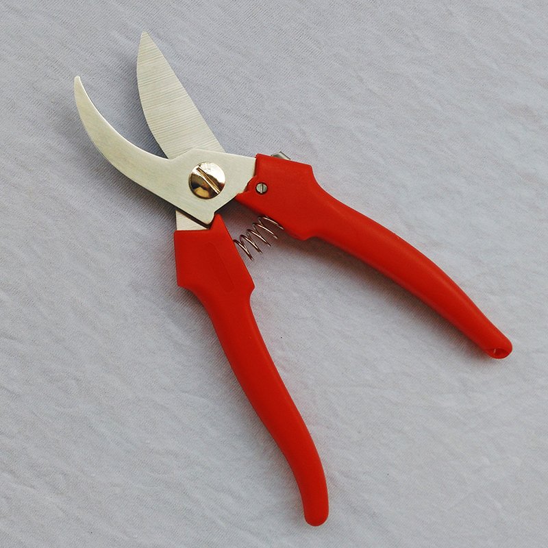 Garden scissors-G905750