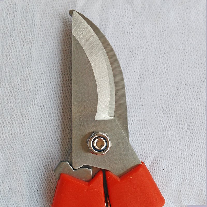 Garden scissors-G905750
