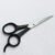 Plastic handle beauty scissors