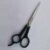 Plastic handle hair scissors